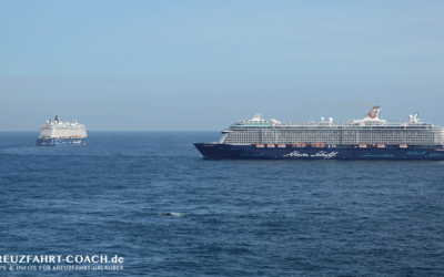 Kreuzfahrtblog 29 TUI Cruises Gesundheitsfragebogen