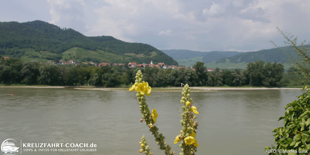 Flusskreuzfahrt – Donaukreuzfahrt 07-2020