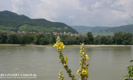 Flusskreuzfahrt – Donaukreuzfahrt 07-2020