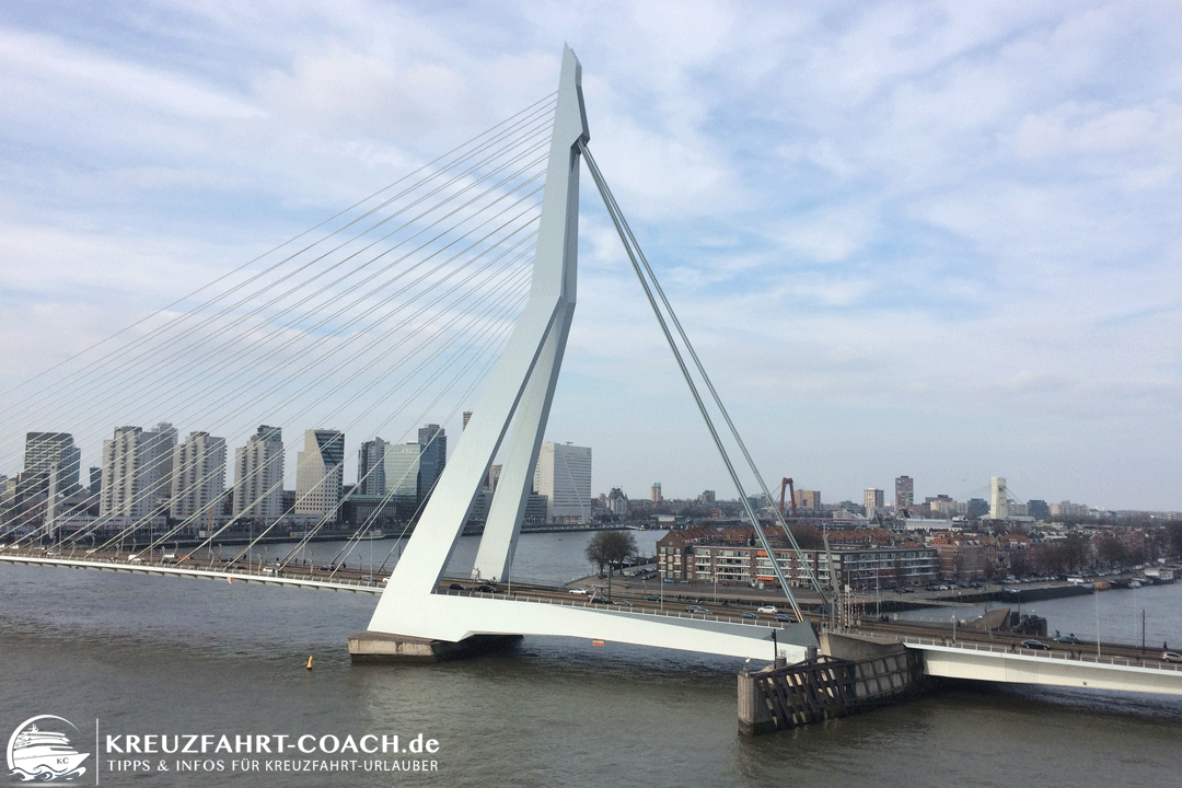 Rotterdam auf eigene Faust - Die Erasmusbrücke
