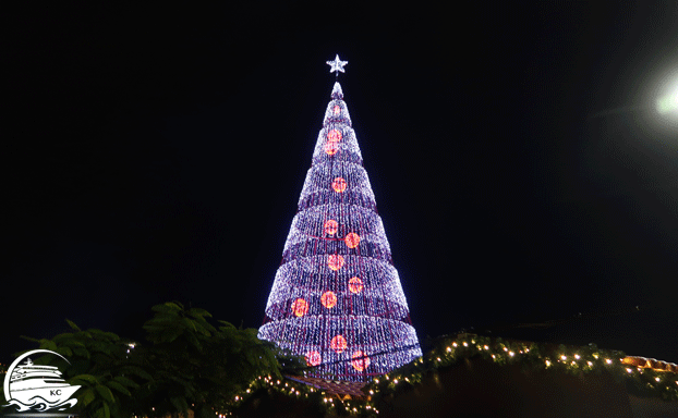Weihnachtsbaum Madeira AIDAnova Kanaren mit Madeira im Dezember 2019