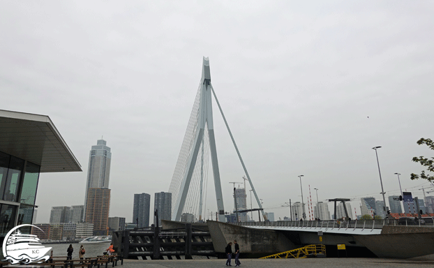 Rotterdam auf eigene Faust - Die Erasmusbrücke
