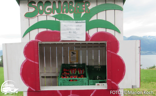 Erdbeerpause bei der Fridtjof-Statue Ausflugstipps Vik - Erdbeerpause bei der Fridtjof-Statue