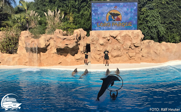 Teneriffa mit Kids - Loro Parque