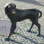 cr marion koch ausflugstipps klaipeda hund am hafen 622px