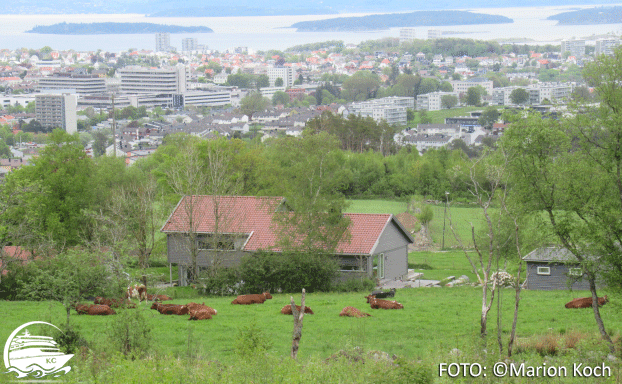 Ausflugstipps Stavanger / Mekjarvik - Blick vom Ullandhaug auf Stavanger
