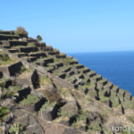 cr marion koch ausflugstipps la gomera terrassenfelder 622px