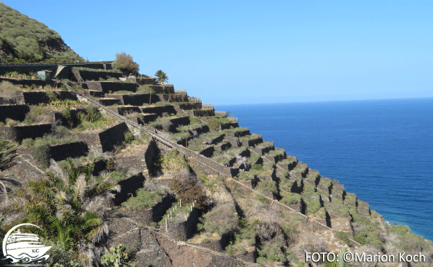 Ausflugstipps La Gomera - Terrassenfelder