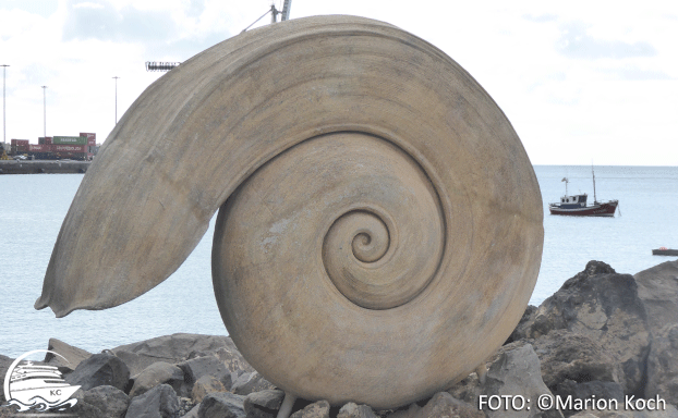 Eine "kleine" Schnecke an der Strandpromenade Fuerteventura Sehenswürdigkeiten - Eine "kleine" Schnecke an der Strandpromenade