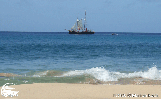 Ausflugstipps Fuerteventura - Strand auf der Halbinsel Jandia 