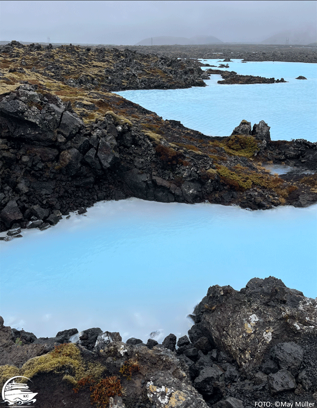 Reykjavik auf eigene Faust - Blue Lagoon
