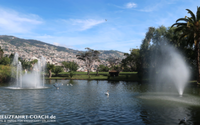 Kreuzfahrtblog 12 Madeira auf eigene Faust