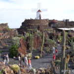 cr marion koch ausflugstipps lanzarote jardin de cactus 622px