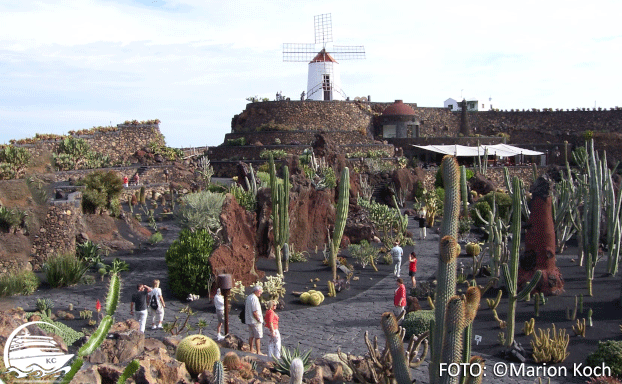 Ausflugstipps Lanzarote - Jardín de Cactus