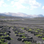 cr marion koch ausflugstipps lanzarote weinanbaugebiet la geria 622px