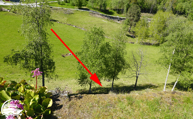 Ausflugstipps Flåm - Abgrund bei Stalheim