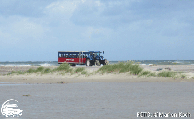 Skagen - 