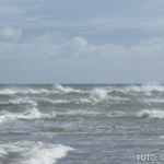 cr marion koch skagen treffen der meere 622px