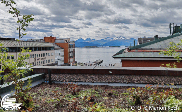 Molde Sehenswürdigkeiten - Blick vom Rosengarten