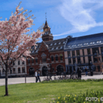 Bildnachweis 571 cr marion koch ausflugstipps kristiansand rathaus 622px