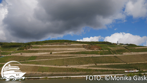 Blick vom Schiff auf das Rheinufer FOTO: ©Monika Gask