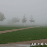 CR monika gask nebel in koblenz 512px