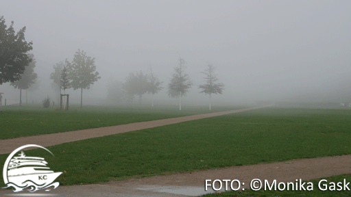 Nebel in Koblenz FOTO: ©Monika Gask