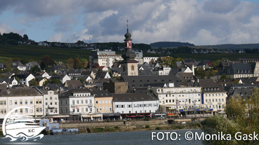 Blick vom Schiff auf Rüdesheim FOTO: ©Monika Gask