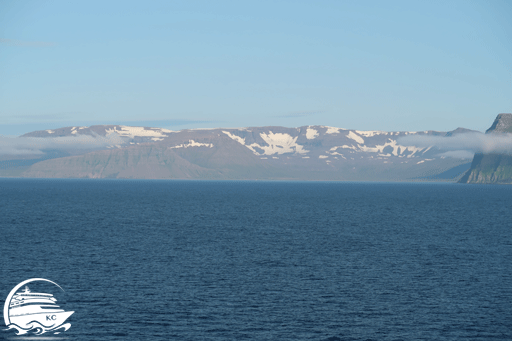 Blick vom Kreuzfahrtschiff auf die Küste von Island