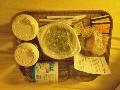 Tablett mit Salat, Zwieback, Wasser, etc.